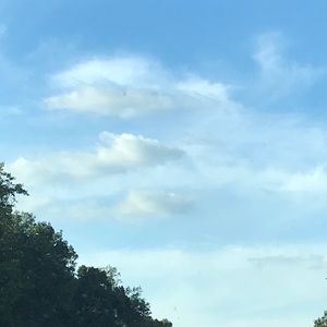 Meet your Posher, Lydia